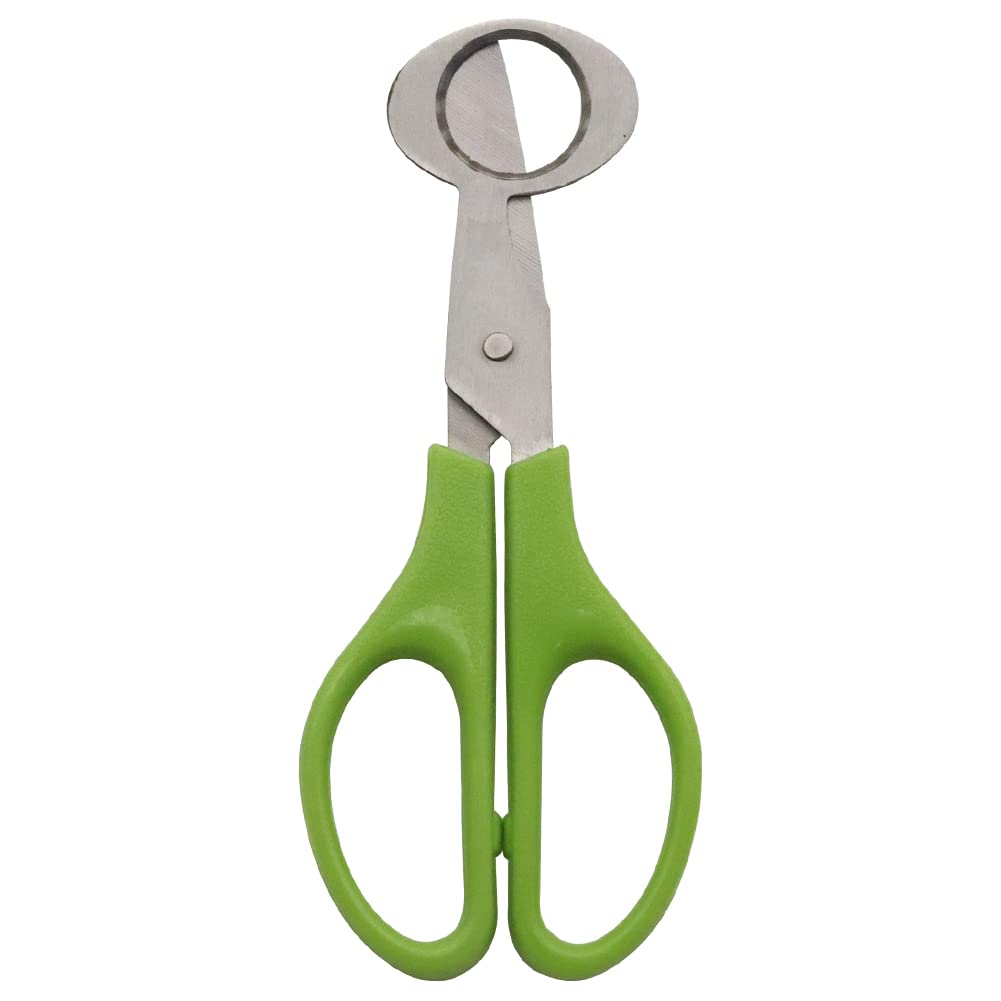 Quail Egg Scissors, Stainless Steel Egg Shell Cutter, Small Egg Scissors,Egg Opener for Home Restaurant Kitchen (Green)