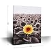 Sunflower Wall Art Inspirational Canvas Print for Bathroom Wall Décor Black and White Yellow Flowers Field Painting Funny Floral Picture Modern Framed Posters Office Classroom Home Decor 12x16in