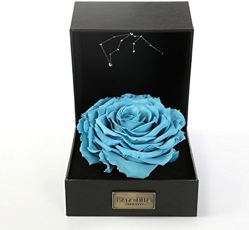 PARA ELLA 5" Handmade Forever Flower and Preserved Rose with Constellation Sign (Aquarius 21st Jan to 19th Feb), Best Anniversary, Birthday for her