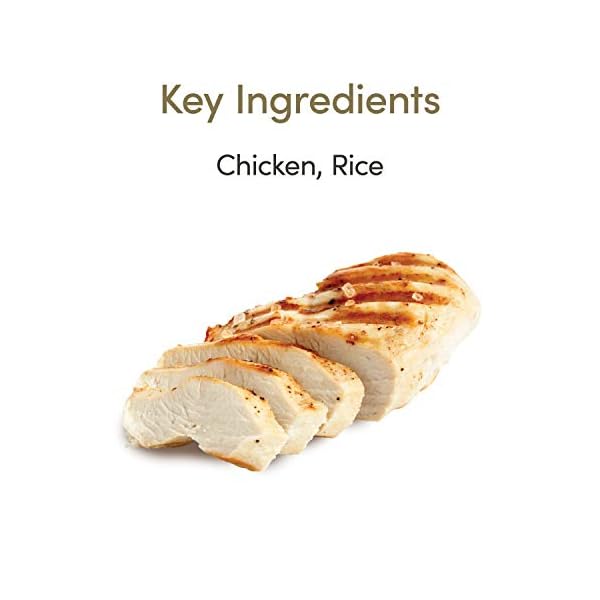 Applaws Natural Wet Kitten Food, Chicken Breast Cat Food Tin in Jelly 70g (Pack of 24 Tins)