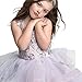 CQDY Flower Girl Lace Dress Embroidery Pageant Wedding Birthday Party Prom Puffy Tulle Ball Gown (Cameo Brown, 4-5y)