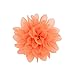 ALinmo 40PCS Baby Girls Clips 2