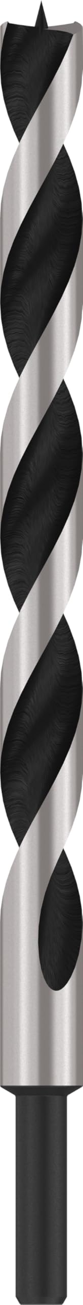 Bosch Professional Machine Wood Drill Bit with M-Tip (Ø 16 x 190 x 250 mm, Accessories Rotary Drills)