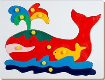 Little Genius Fish Tray, Multi Color