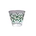 Party Essentials Hollly Disposable 9 oz. Hard Plastic Printed Christmas Party Cups/Tumblers, 20 Count, Holly Berry (N92006)