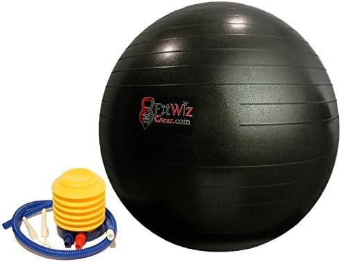 FitWiz Gear 65cm 1000lb Antiburst Exercise Stability Ball with Pump