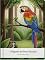 Livro O Segredo das Penas Pintadas