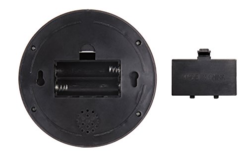 5 WALI+Security+Flashing+Warning+SD+2