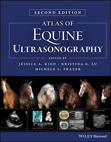 Hinman's Atlas of Urologic Surgery: 9780323936118: Medicine