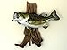 Wallmonkeys Large Mouth Bass Mounted Wall Decal Peel and Stick Graphic WM255711 (18 in W x 13 in H)