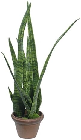 Gold Eagle USA Artificial Medium Green Snake Plant with Pot, 40"