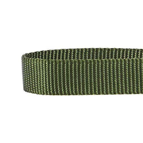 Blueberry Pet Essentials 20+ Colors Classic Nylon Adjustable Dog Collars, Personalized Dog Collars, for Puppy Small… - Image 5