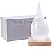 Storm Glass Weather Predictor|Fitzroy HMS Beagle Crystal Predicting Bottle|Barometers forThe Home|st71 Droplet Barometer|Home and Office Fashion Decorations|Birthday an Christmas Friendship Gifts