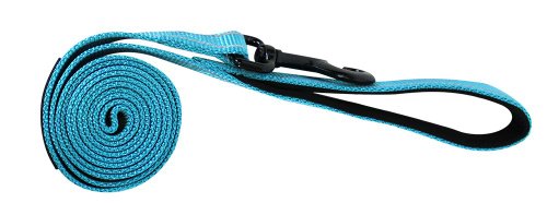 alcott Adventure Dog Leash with Reflective Stitching & Neoprene Padded Handle, Large, Blue