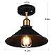 Industrial Ceiling Light,Oak Leaf Semi Flush Vintage Metal 1-Light Pendant Lighting Shade Chandelier