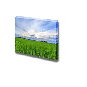 Open Green Field with Clear Sky and Sunshine Peeking Through - Canvas Art Wall Art - 12" x 18"