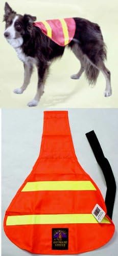 smallest dachshund breed