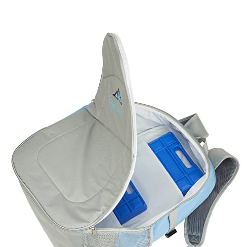 [- Chill Back, the large cool bag rucksack with wine cooler  -]