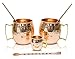 18 oz Copper Mugs Set Moscow Mule – 100% Copper Hammered Finish PREMIUM Best Quality Shinny – Hand crafted in India – Set of 2 With FREE GIFT: 2 Straws + Stir spoon + Shot mug