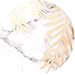 DOUJIAZ Compatible with iPhone 7 Plus Case,iPhone 8 Plus Case,Shiny Gold Metallic Leaves Marble Design Clear Bumper TPU Soft Case Rubber Silicone Skin Cover for iPhone 7 Plus/iPhone 8 Plus