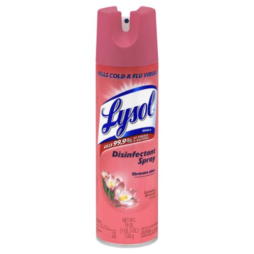 Lysol Disinfectant Spray, Summer Breeze, 19 Ounce