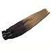 Googoo Remy Hair Extensions Clip in Human Hair Extensions Ombre Dark Brown #2 Fading to Color #6 Light Brown #18 Ash Blonde Natural Clip in Extensions Balayage Hair Extensions 7pcs 120g 16inch