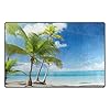 senya Doormat Front Door Mat Washable Rug Carpet Coconut Palm Tree The Beach Non Slip Inside Mats for Entry, Mud Room… 410ClcLNVPL. SS100