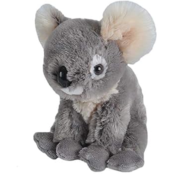 Amazon.com: Wild Republic Koala Plush, Stuffed Animal, Plush Toy, Gifts