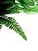 Artificial Silk Persian Grass Nearly Natural Fern Plant-2 Pack