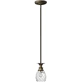 Hinkley Plantation Extra Small Single Pendant Light, Pineapple Design, Clear Optic Glass, Adjustable Height, Pearl Bronze Fin
