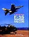 F-16 Fighting Falcon (Combat Legend) by Kev Darling