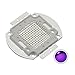 CHANZON High Power Led Chip 100W Purple Ultraviolet (UV 405nm / 3000mA / DC 30V - 34V / 100 Watt) SMD COB Light Emitter Components Diode 100 W Ultra Violet Bulb Lamp Beads DIY Lighting
