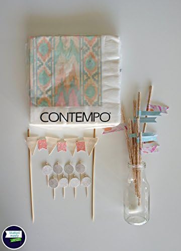 40% off for limited time! Party Pack : "Navajo Peach" One-of-a-Kind Party Decorations In a Box