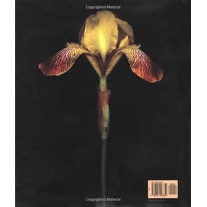 One Hundred Flowers
