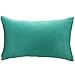PONY DANCE Blue Velvet Pillow Covers Couch Soft Rectangle Cushion Cover Sham for Chair/Sofa/Bed Including Hidden Zipper Design, Peacock Blue, 12 x 20 (30 x 50 cm), Set of 1