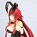 Z&I Exquisite Life High School D×D Adult Toy School DxD Bunny Girls Rias Gremory Himejima Akeno Girls Anime PVC Action Figures Toys Anime Figure