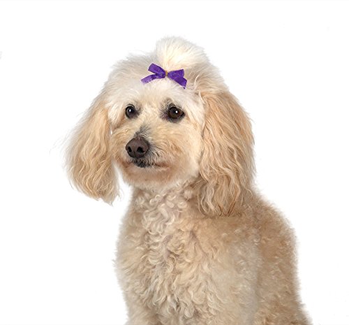 Aria Multi-Colored Bows for Dogs, 100-Piece Canisters - Thumbnail 2