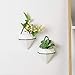 2 Pack Wall Planters for Indoor Plants, Geometric Wall Vases Decor, Succulent Air Plants Trigg Ceramic Pots Holder with Black Iron Frame, Small Faux Plant Containers White Modern Decor for Homethumb 1