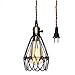 Vintage Pendant Light, Pauwer Wire Cage Lamp Plug-in Edison Pendant Light Cage with On/Off Switch (1 Light)