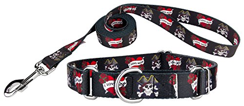 Country Brook Design I Love Mom Martingale Dog Collar & Leash - Small