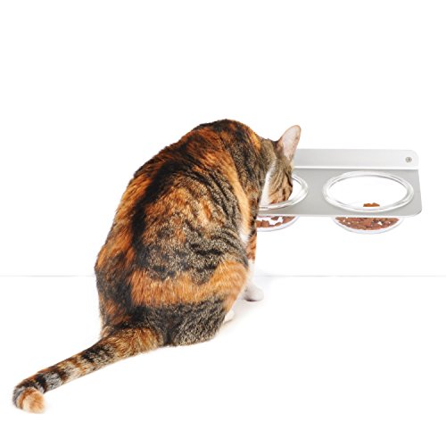New 4claws Wall Mounted Pet Feeder With Glass Bowls Outlet