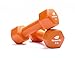 Fitness Alley Neoprene Coated Workout Dumbbells set of 2 – Anti Roll, Non Slip with Smooth Grip Fitness & Exercise Dumbbells – Hexagon Shaped Hand Weights for Women & Men – Best Choice for Gyms & home use