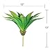 Luyue Green Artificial Succulent Plants Aloe Lotus Agave Pack of 1 for Home Garden Decor