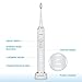 Sonic Electric Toothbrush, Hangsun HT1000 Power Rechargeable Toothbrush 8 Hours Charge Minimum 30 Days Use w/ 4 Brush Modes and 3 Replacement Heads