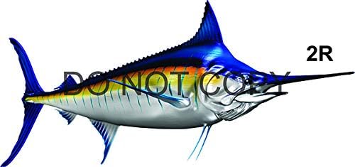 Stripped Marlin Beautiful Fish Decal | Fishing Decal for Boat, Car, Vehicle, Truck Etc. | Waterproof Vinyl Sticker | Many Sizes & Styles Available | 12" to 40" by Digital Fish Art (X-Large, Position 2R)