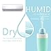 StarryBay Portable Mini Clean Cool Mist Humidifier/UltraQuiet Desk Personal Air Humidifier with LED/Perfect for Travel, Home, Office,Bedroom or Car/Silent humidifiers for Allergy Baby (Blue)