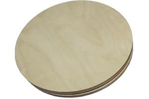 Fenteer Rotating Disc, Pilates Disc, Professional Core Ab Board, Twist Board for Fitness Exercises, Core Workout, Pilates, We