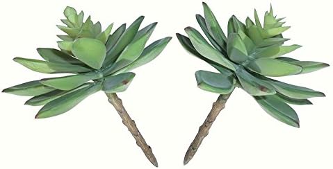 Dect Artificial Succulent 5" Echeverias(2pcs)
