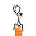 Downtown Pet Supply - Long Dog Leash - Dog Training Leash - Recall & Obedience Dog Training Tools - Nylon - 30 ft - Orange Dog Leash