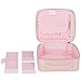 Ollieroo Makeup Train Case Professional 9.8” Travel Makeup Cosmetic Artist Organizer with Adjustable Dividers Pink